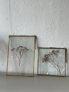 Brass Botanical Frame