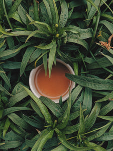 Apoteacary™ Tea-Blending Kit
