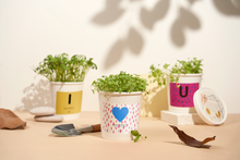 Load image into Gallery viewer, Message Microgreens Gift Set : I LOVE U