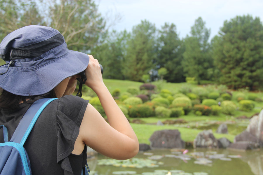 Conversations: Bird Watching with Ann Ang