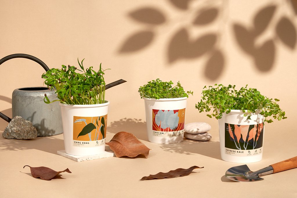 Microgreens Starter Kits – Super Farmers