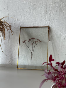 Brass Botanical Frame