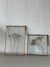 Load image into Gallery viewer, Brass Botanical Frame