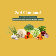 Load image into Gallery viewer, NOODS Mineral-Rich Instant Noodles - Not Chicken!