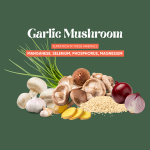 NOODS Mineral-Rich Instant Noodles - Garlic Mushroom