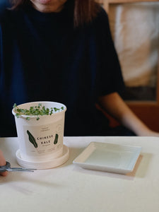 Message Microgreens Gift Set: MUM
