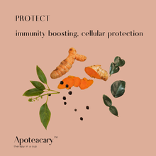 Load image into Gallery viewer, Apoteacary™ Teas - 3-step Holistic Body Support Bundle