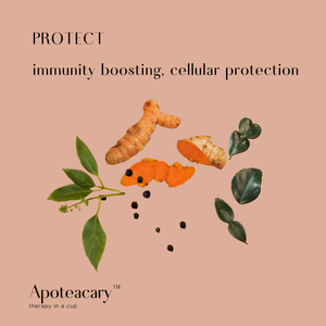 Apoteacary™ Teas - 3-step Holistic Body Support Bundle