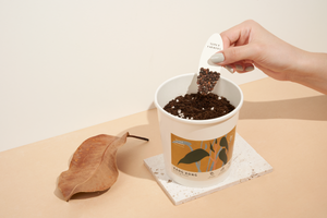 Message Microgreens Gift Set : I LOVE U