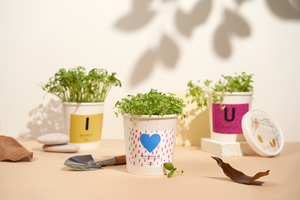 Message Microgreens Gift Set : I LOVE U