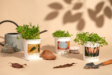 Load image into Gallery viewer, Microgreens Starter Kits - 10pc Bundle