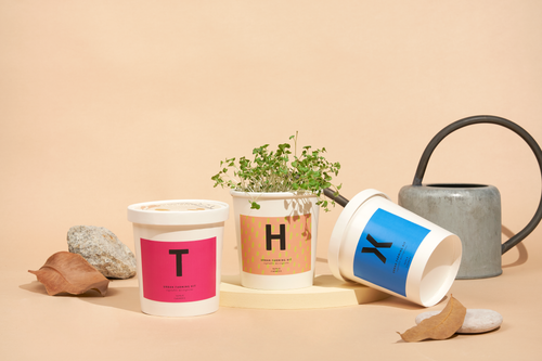 Message Microgreens Gift Set : THANKS!