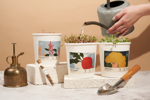 Microgreens Starter Kits - Herbs